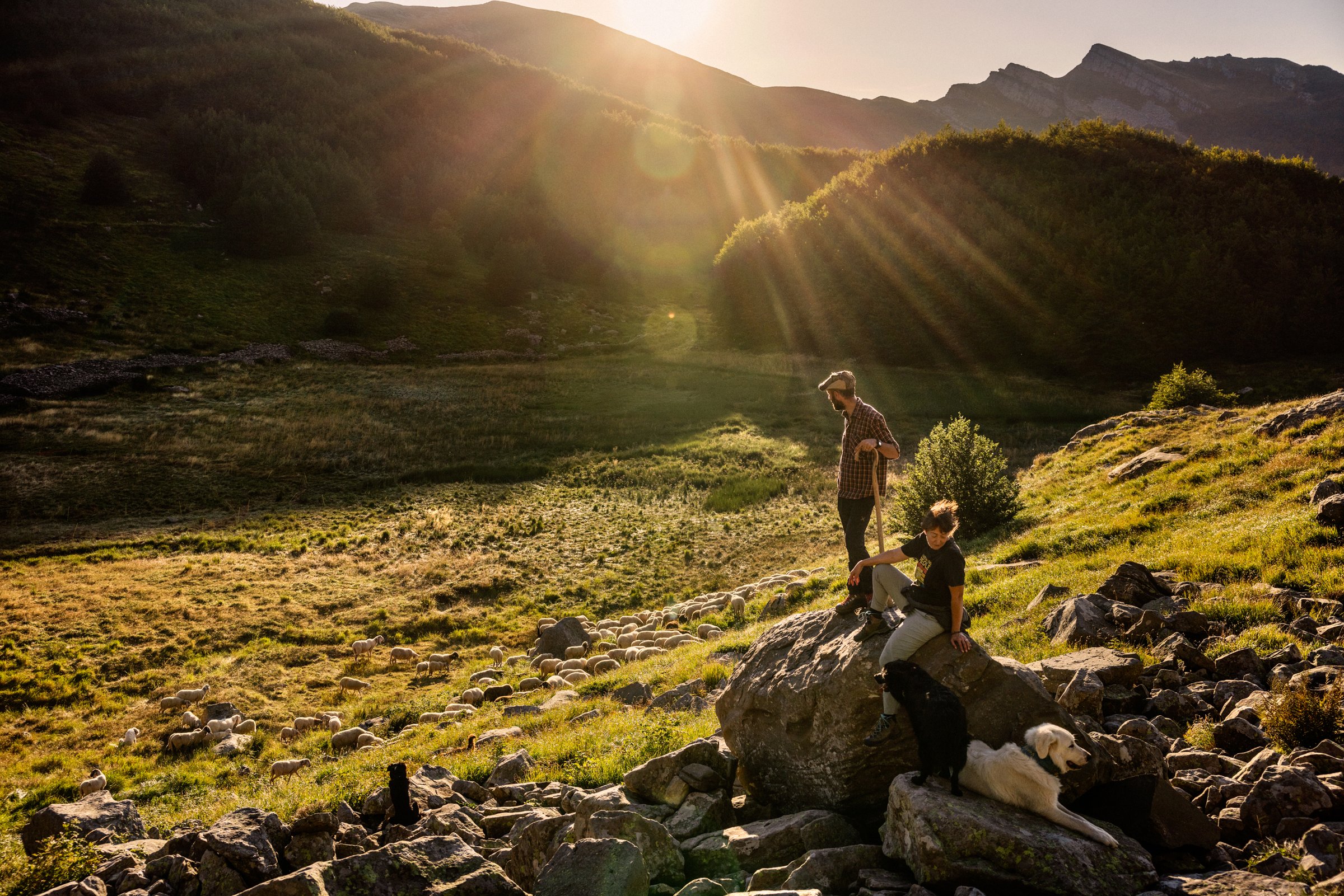 photograph by Marco Gualazzini — image 5 of 72