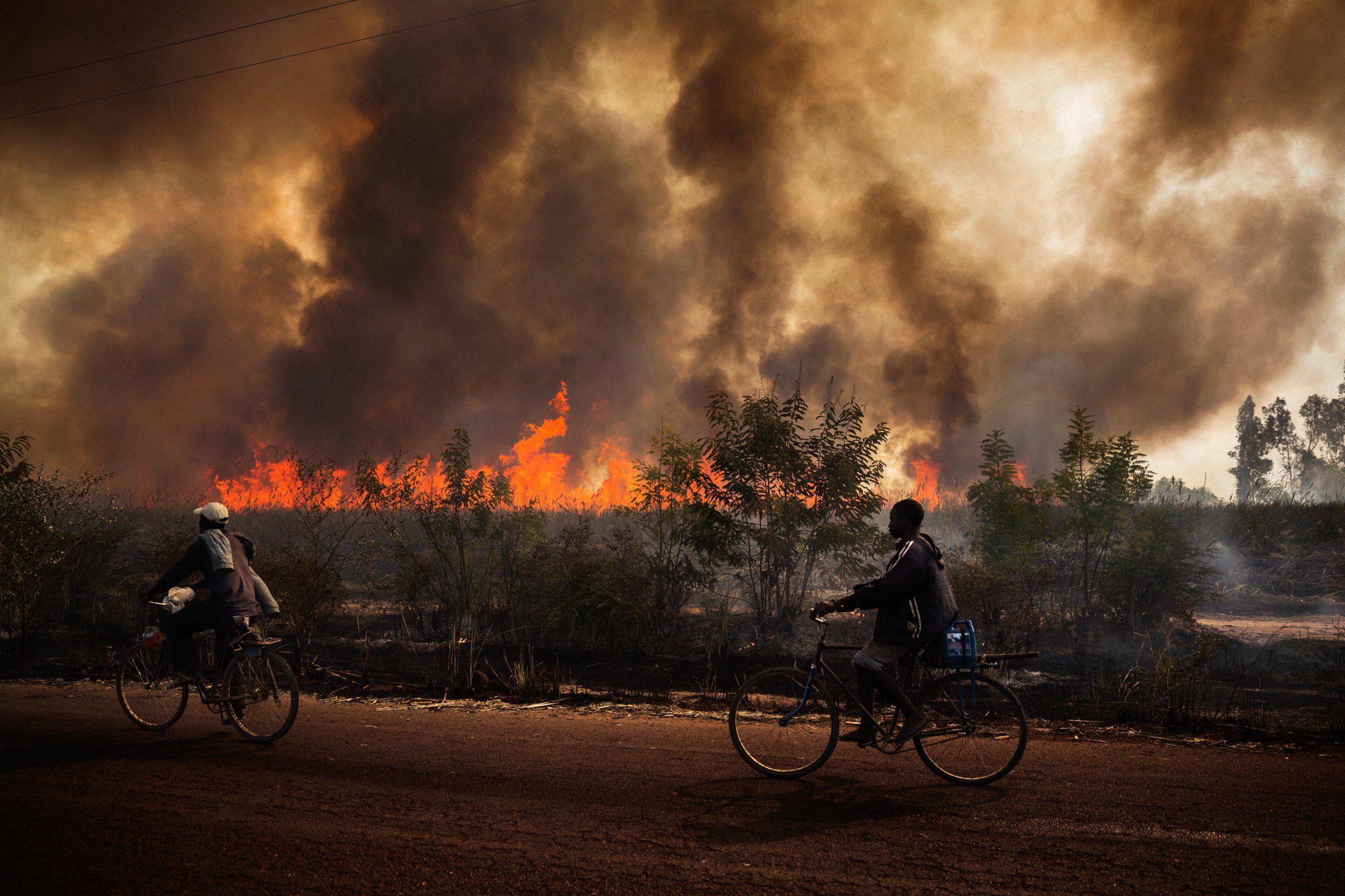 photograph by Marco Gualazzini — image 12 of 72