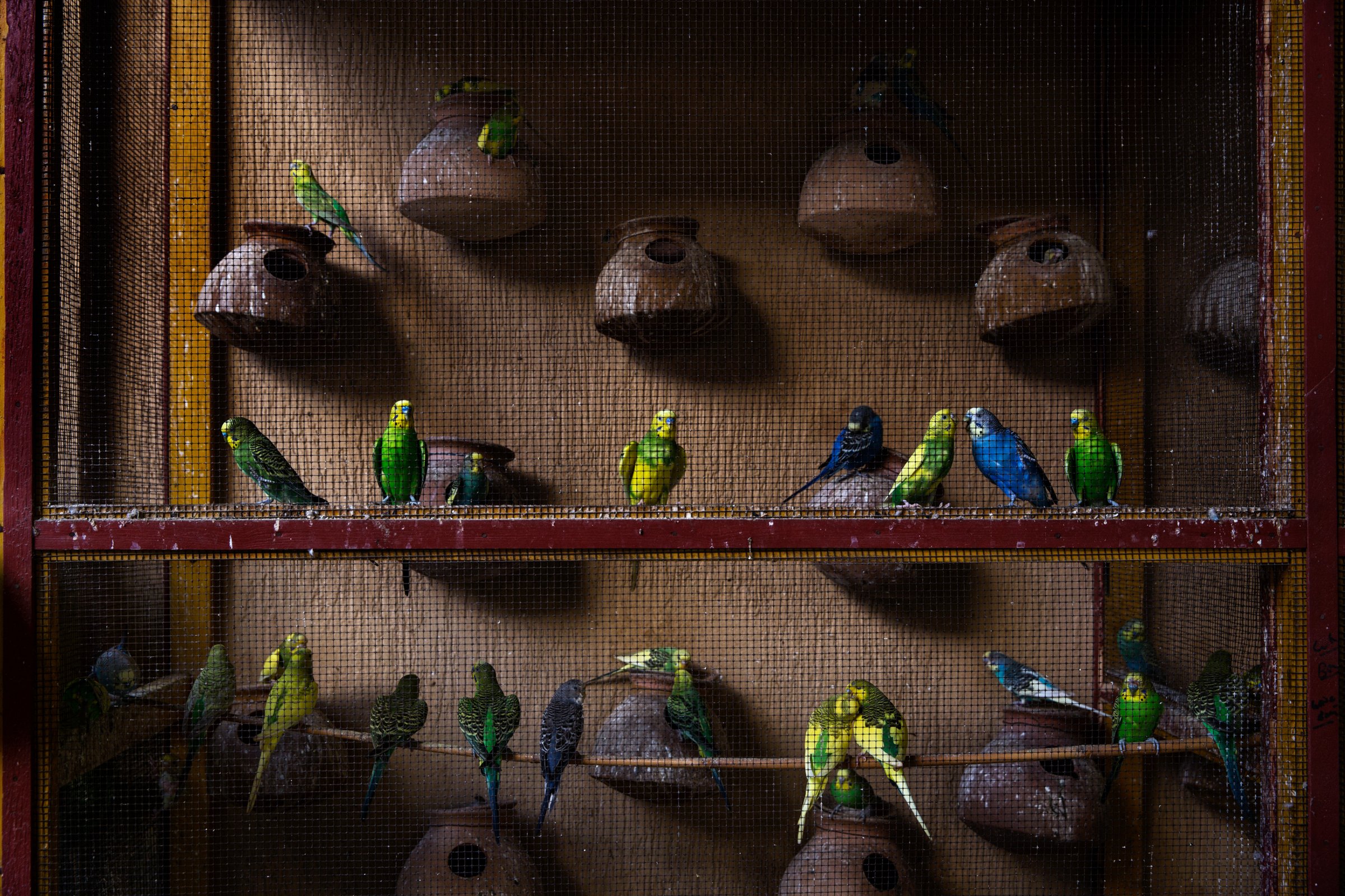 photograph by Marco Gualazzini — image 38 of 72