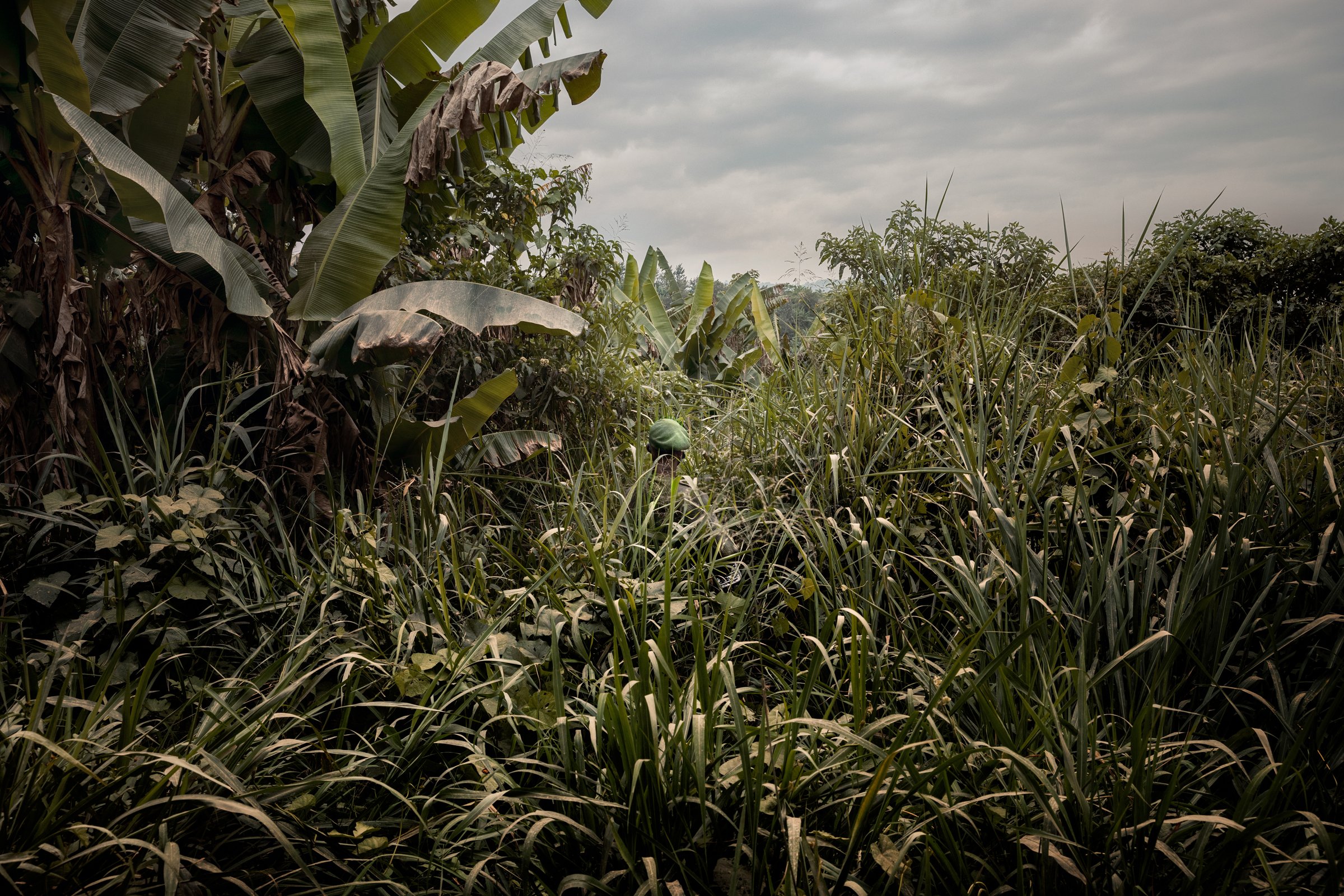 photograph by Marco Gualazzini — image 61 of 72