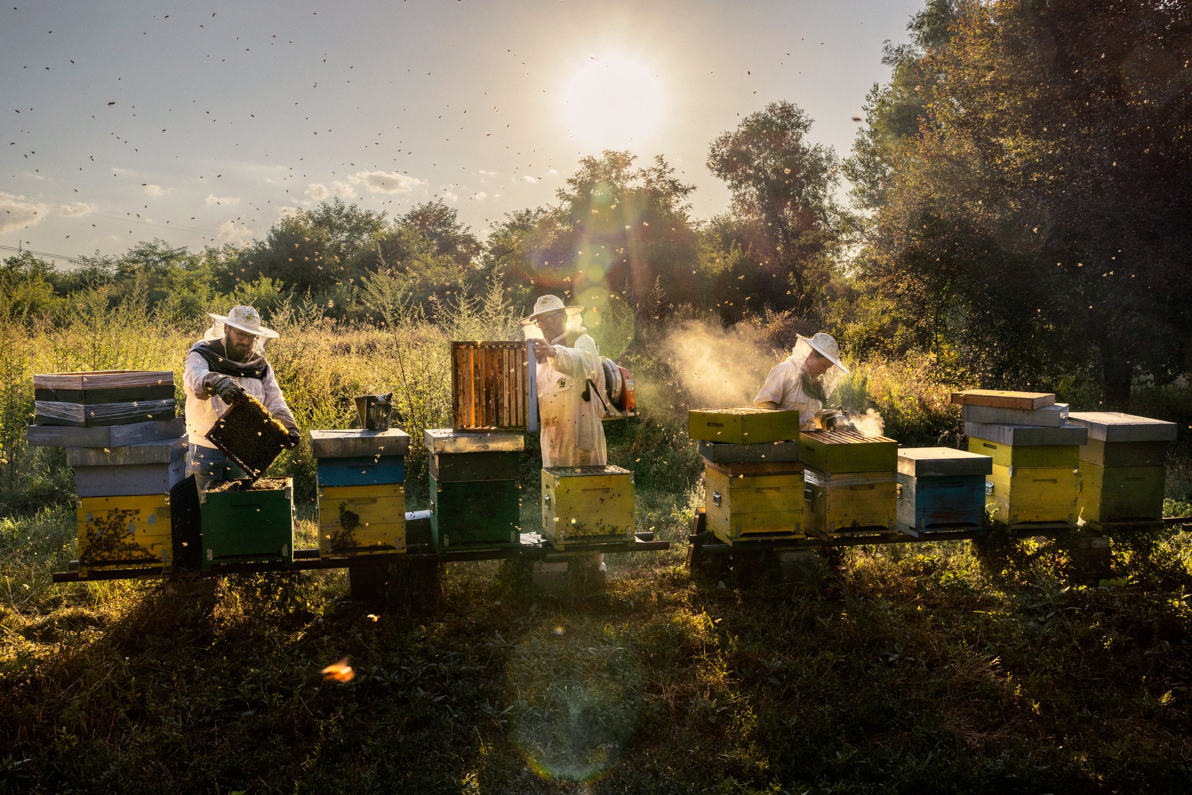 photograph by Marco Gualazzini — image 66 of 72
