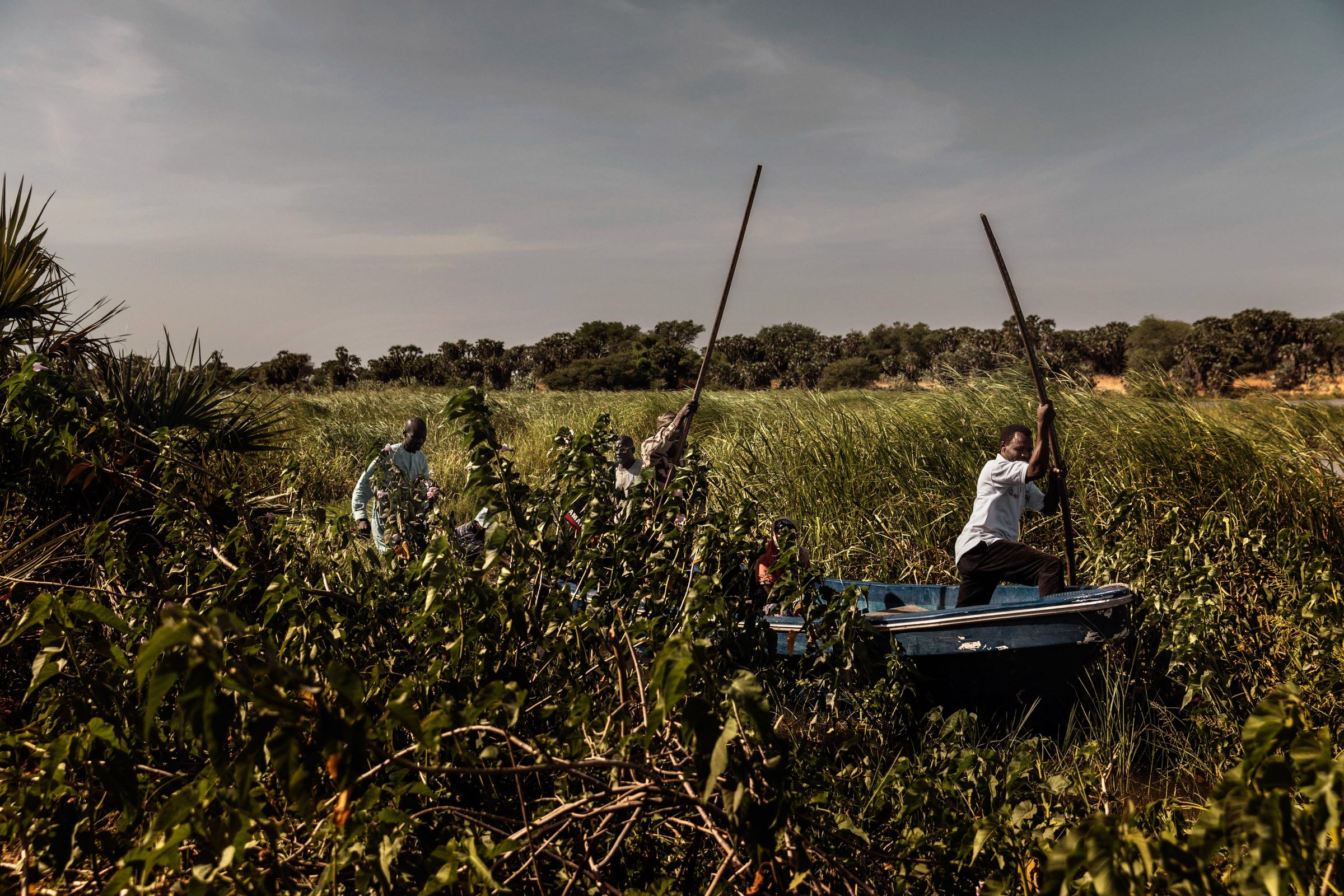 Africa, Chad, Lake Chad — Chad — 2024 — photograph by Marco Gualazzini — image 13 of 20