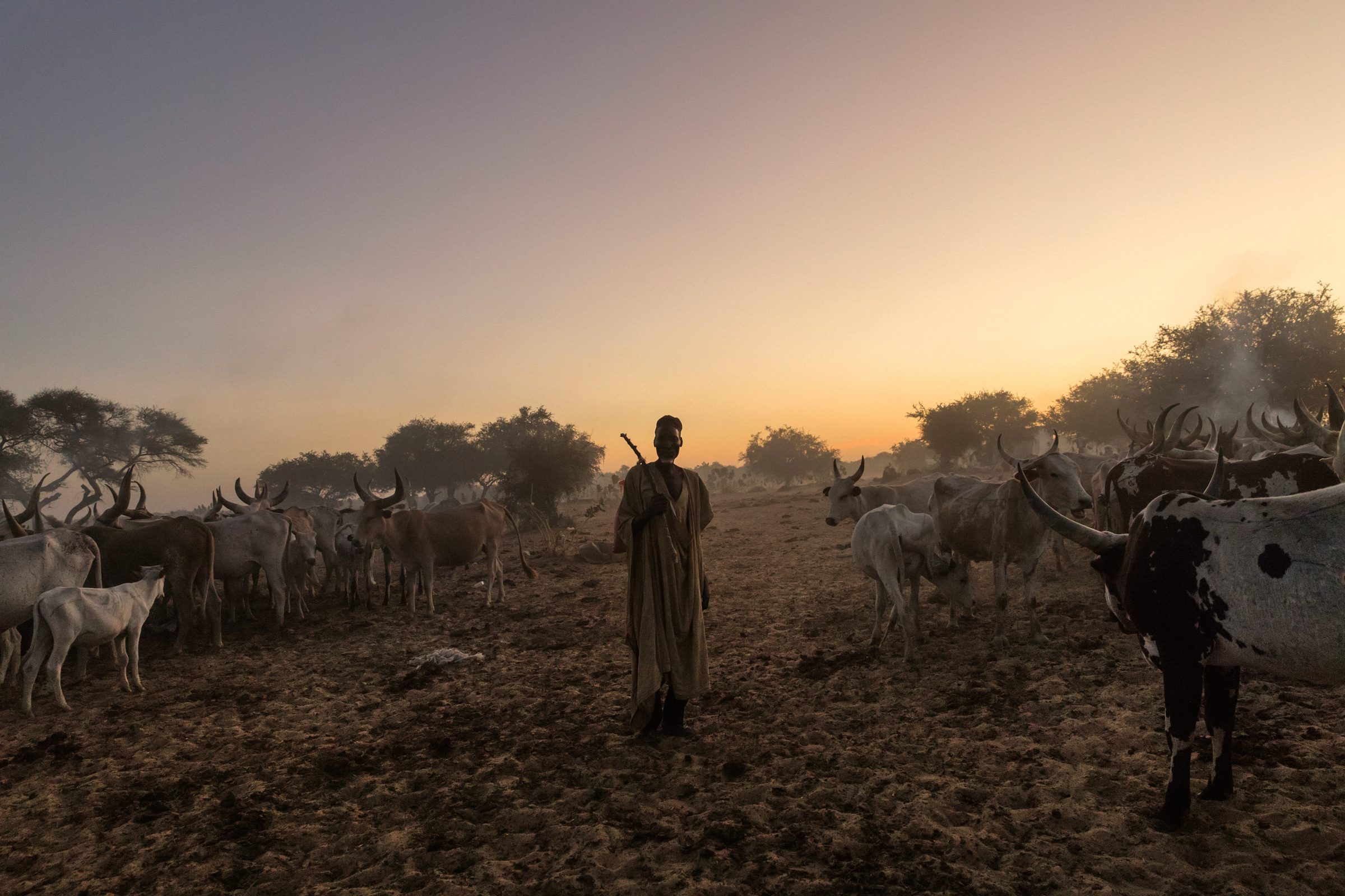 Africa, Chad, Lake Chad — Chad — 2024 — photograph by Marco Gualazzini — image 15 of 20