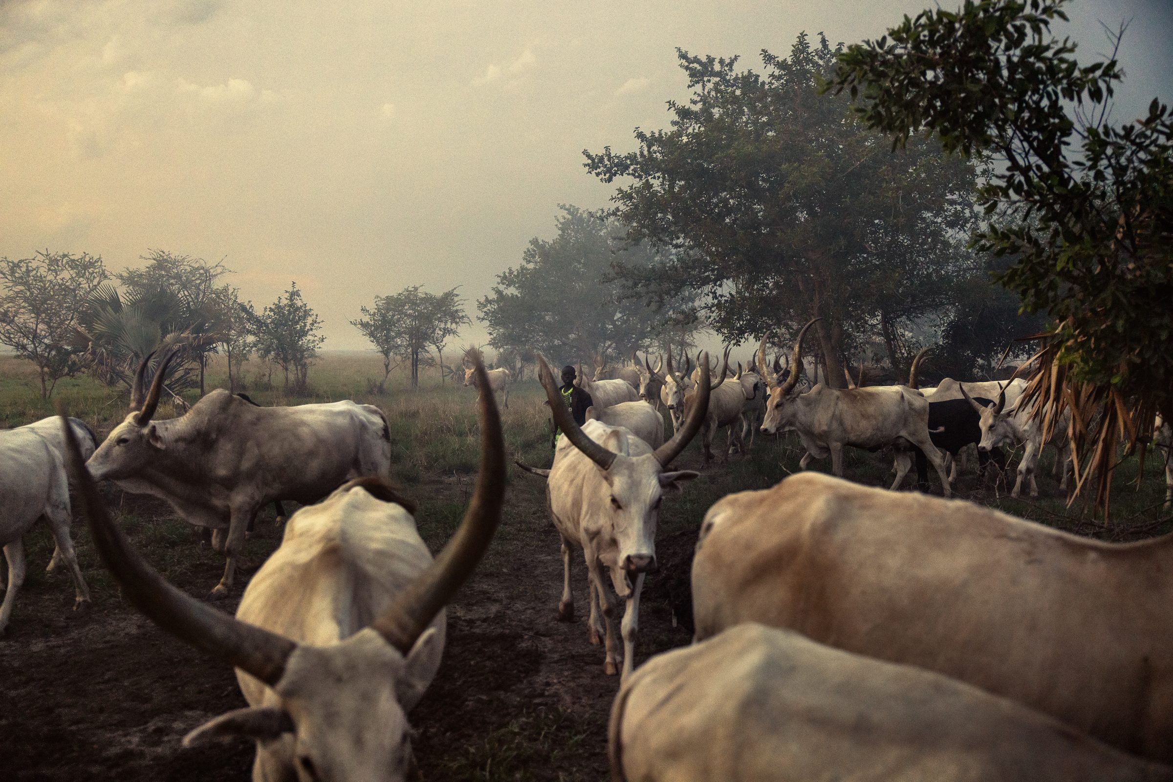 At the edge of the world — South Sudan — 2023 — photograph by Marco Gualazzini — image 21 of 22