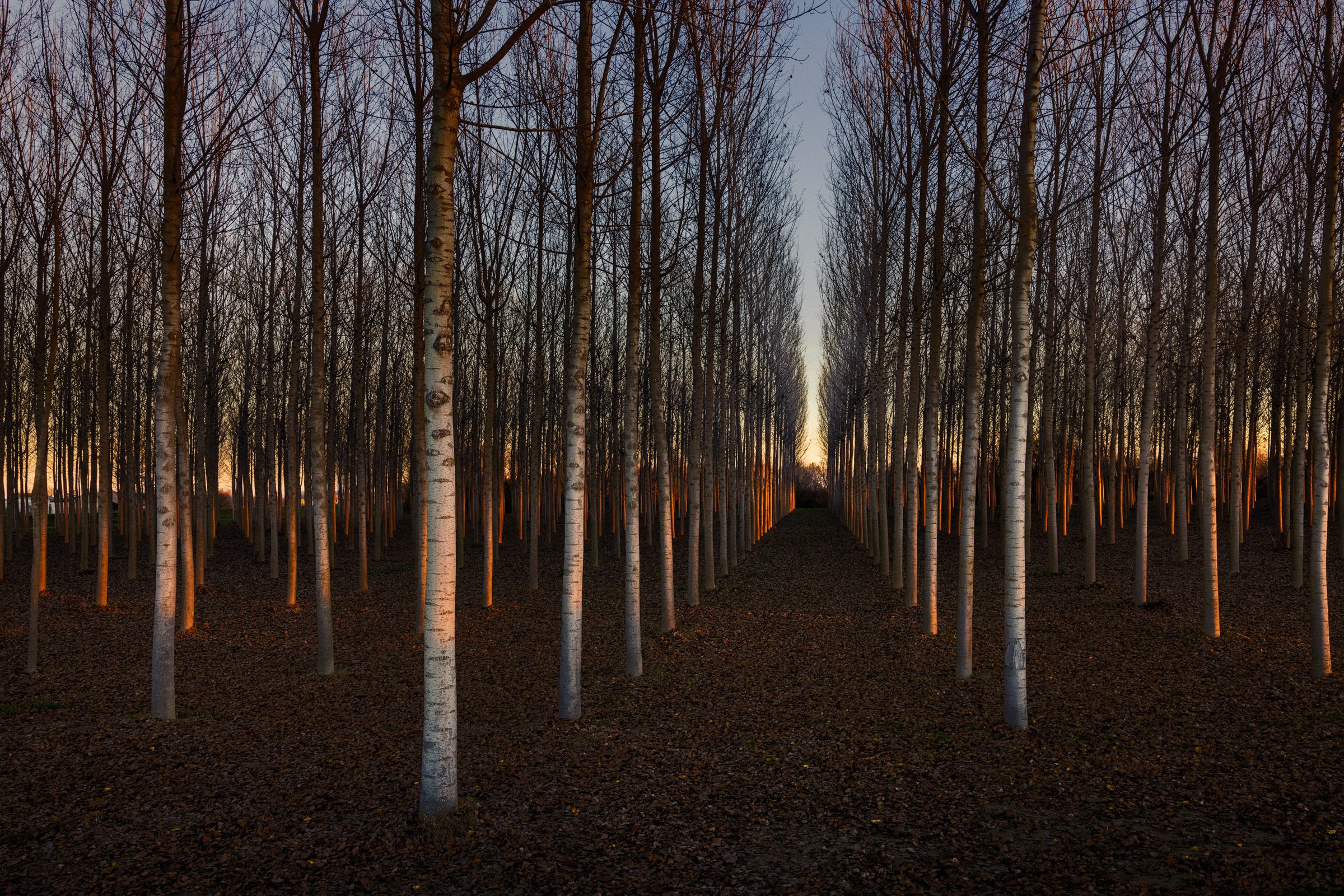 Il torrente Parma — Italy — 2024 — photograph by Marco Gualazzini — image 15 of 24